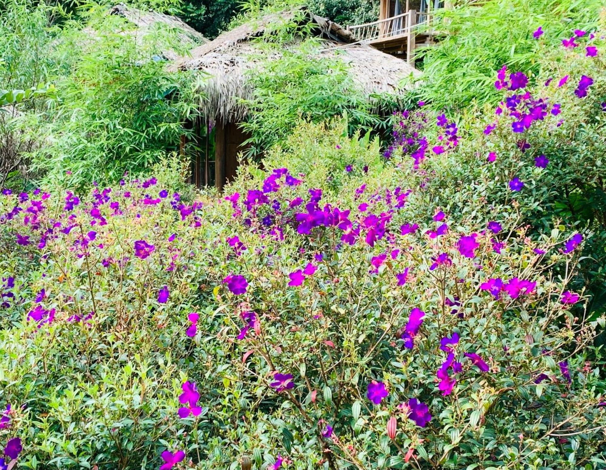 Pu Luong Cuisine Garden Homestay Lang Bang Kültér fotó